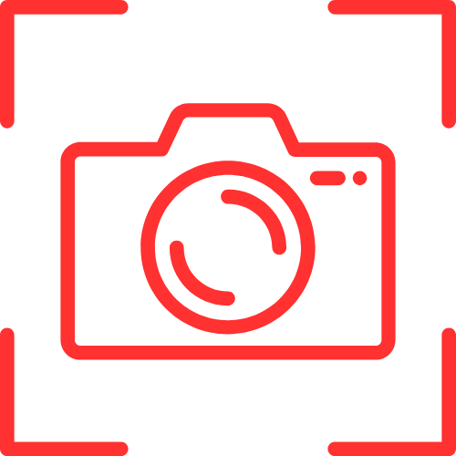 Bbw Stripper Cams Plus